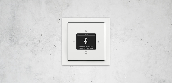 Busch-Radio Btconnect bei Elektro Ruths Installationen GmbH in Mühltal